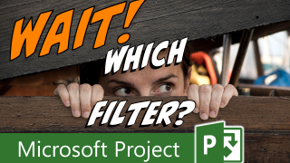 How to Identify and Remove Microsoft Project Filters