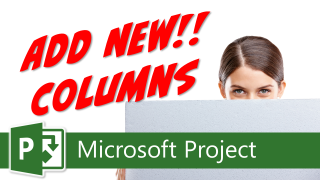 Faster Microsoft Project Planning with Virtual Columns