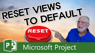 Resetting Customized Views in Microsoft Project: A Simple Guide