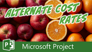 Creating and Using Alternate Cost Rates in Microsoft Project